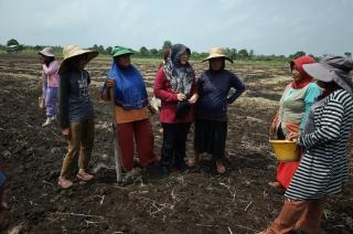 Irigasi Bermasalah, Ratusan Hektare Lahan Petani Teluk Lanus Tak Bisa Digarap