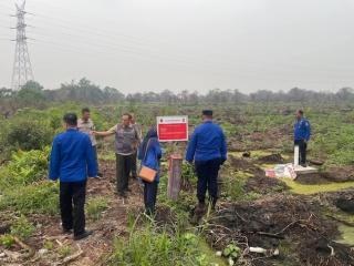 Sisir Lahan Eks Karhutla di Pekanbaru, BPBD Pastikan Tak Ada Lagi Titik Api