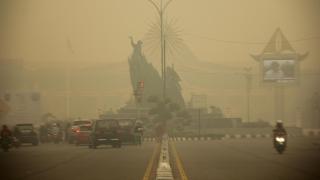 Pekanbaru Masuk Kota dengan Udara Terburuk di Indonesia, AQI Tembus 244