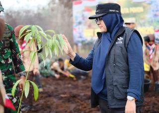 Cegah Lahan Eks Karhutla Beralih Jadi Kebun Sawit, Bupati Afni Tanam Pohon di Tanjung Buton
