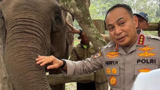 Pamit dari Riau, Komjen Herry Heryawan Titip Pesan Jaga Gajah dan Kelestarian Alam