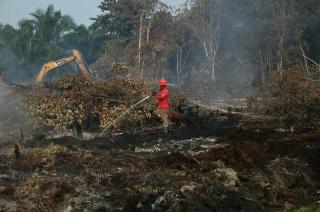 65 Tersangka Karhutla Ditangkap di Riau, 61 Kasus Ditangani Polisi, Tak Ada Perusahaan Terlibat