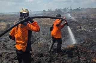 Pemprov Riau Terima Rp30 Miliar dari Pusat, Dana Karhutla Bisa untuk Sekat Kanal dan Embung